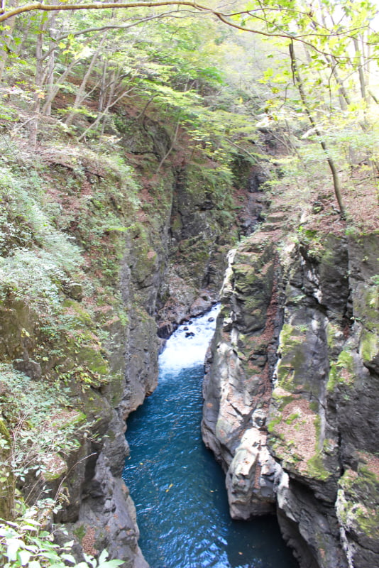 鹿飛橋からの渓谷