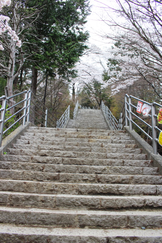 咲くや姫階段