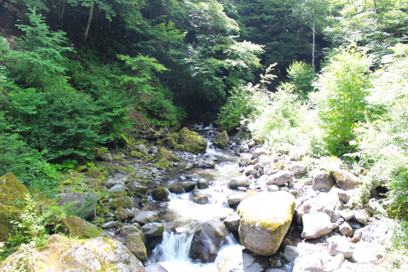 獅子岩橋から川俣川