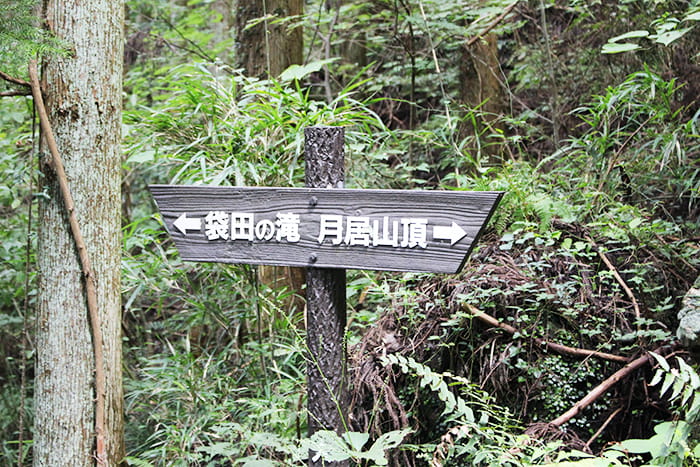 月居山登山道分岐点