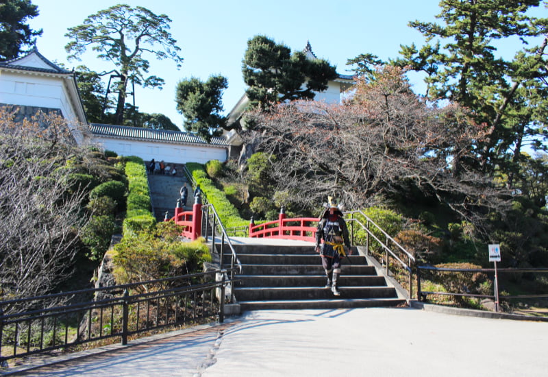 小田原城・常盤木門付近にて