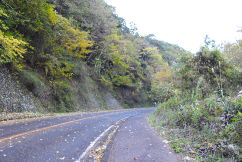 石垣山一夜城ハイキングコース