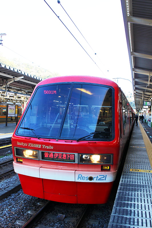 南伊豆フリ 乗車券で河津桜と河津七滝ハイキング