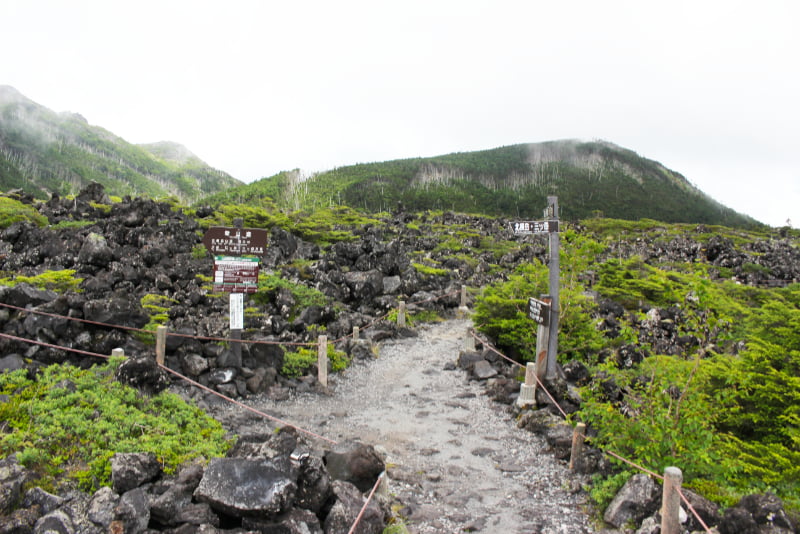 北横岳坪庭散策路・分岐点にて