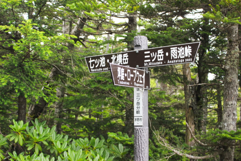 北横岳登山道・三ツ岳と北横岳の分岐点