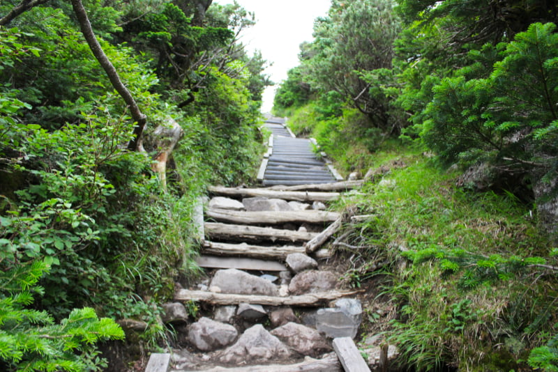 北横岳登山道