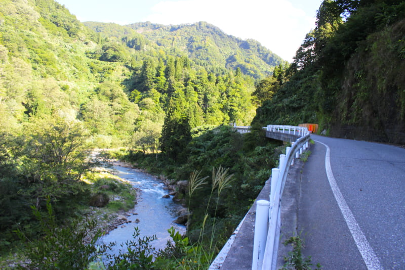 清津川沿いの道路