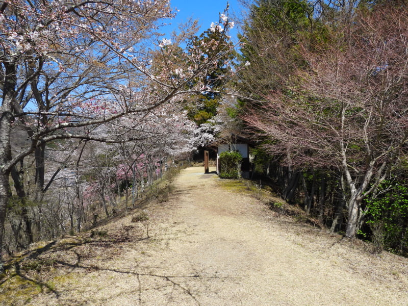 真木お伊勢山・綺麗なトイレ