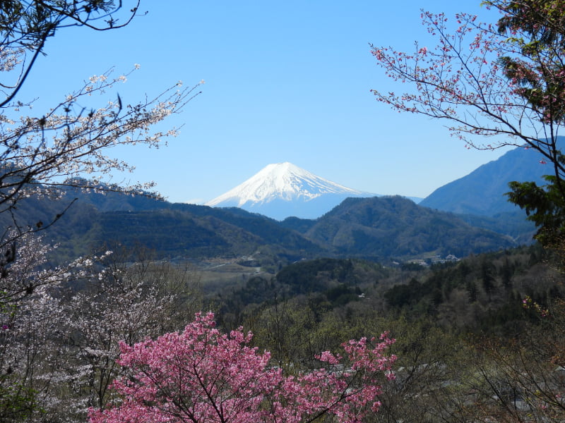 真木お伊勢山・神社から富士山を眺める