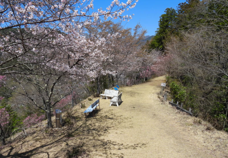 真木お伊勢山・ベンチ