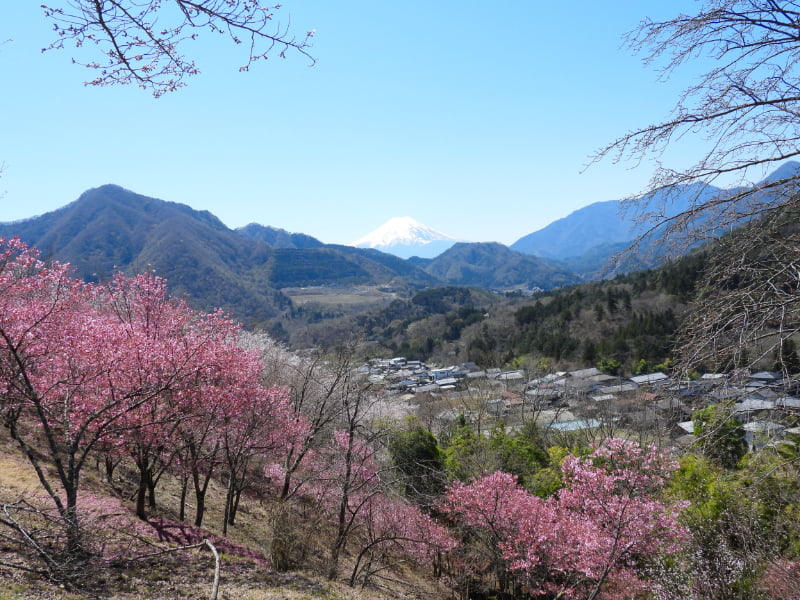 真木お伊勢山・ベンチから富士山を眺める