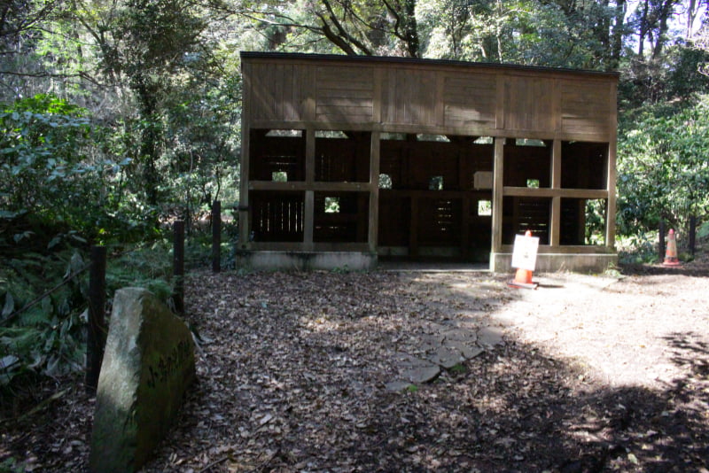 お林遊歩道・野鳥観察小屋