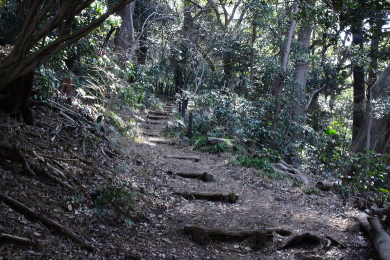 お林遊歩道