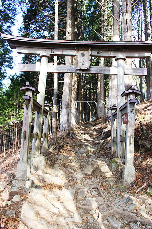 三峯神社　奥宮参道　2つ目の鳥居