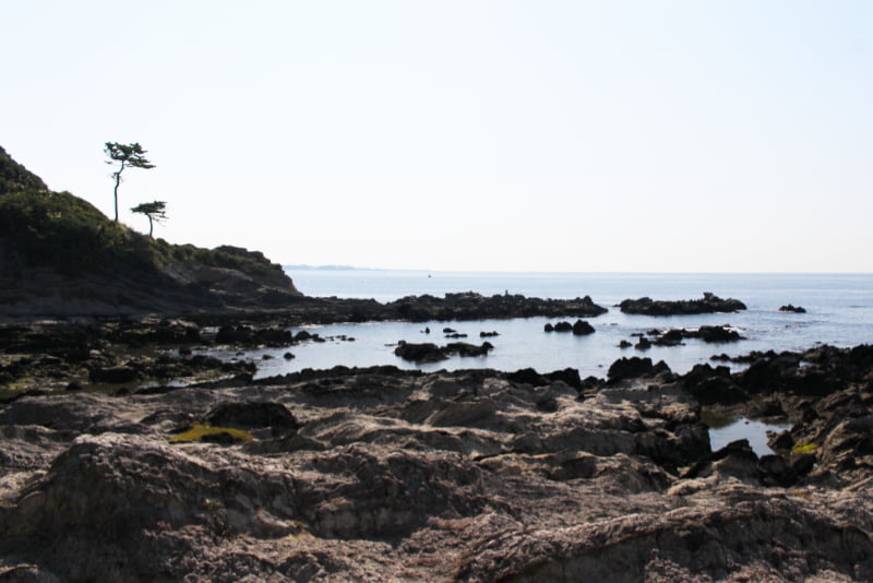 荒崎公園・マイルストーン