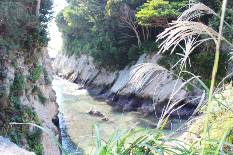 荒崎公園・どんどんびき