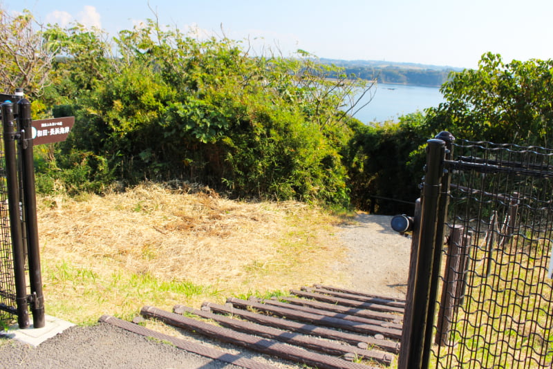 ソレイユの丘・海へと続く散策路