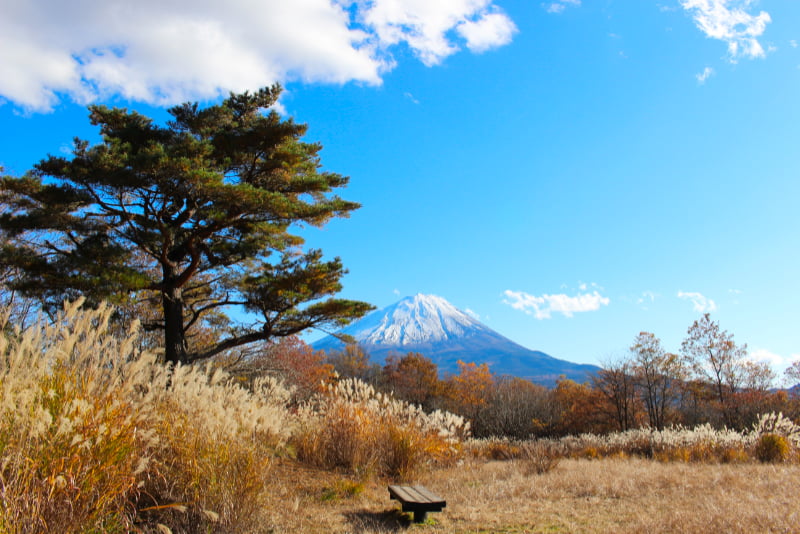 足和田山三湖台より富士山