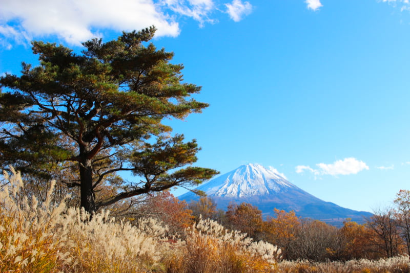 足和田山三湖台