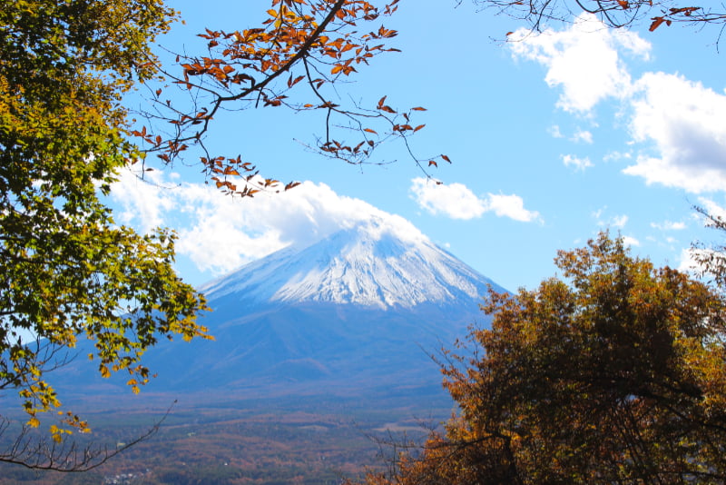 富士山