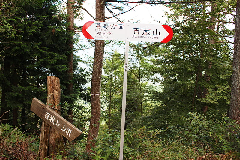 百蔵山登山道　分岐点