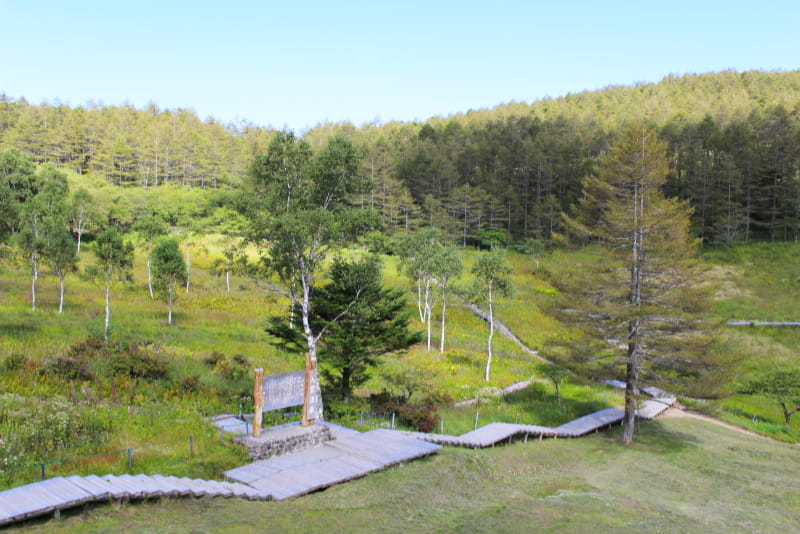 入笠湿原