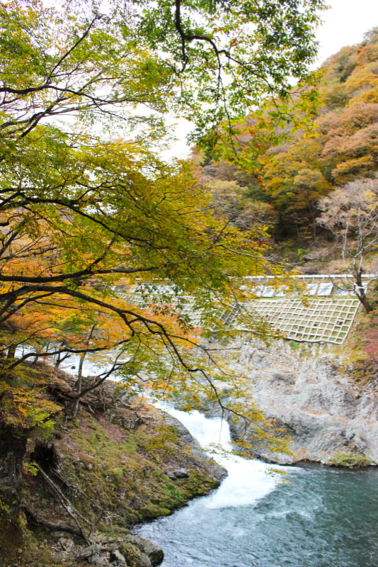 布滝