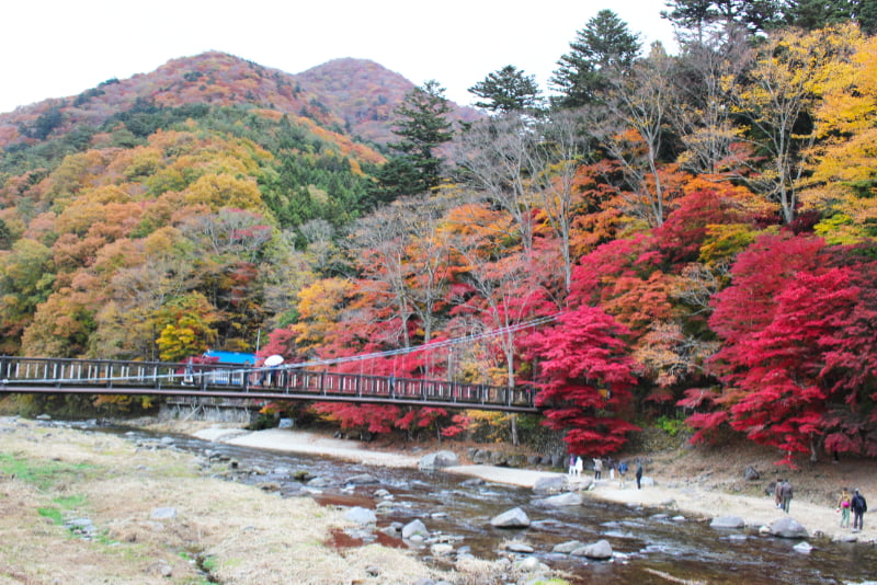紅の吊橋と紅葉
