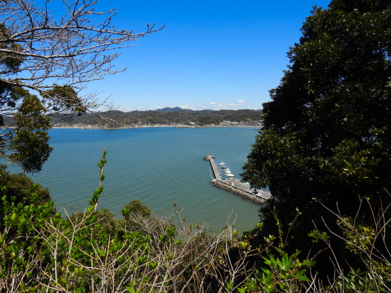 大房岬から眺める冨浦湾