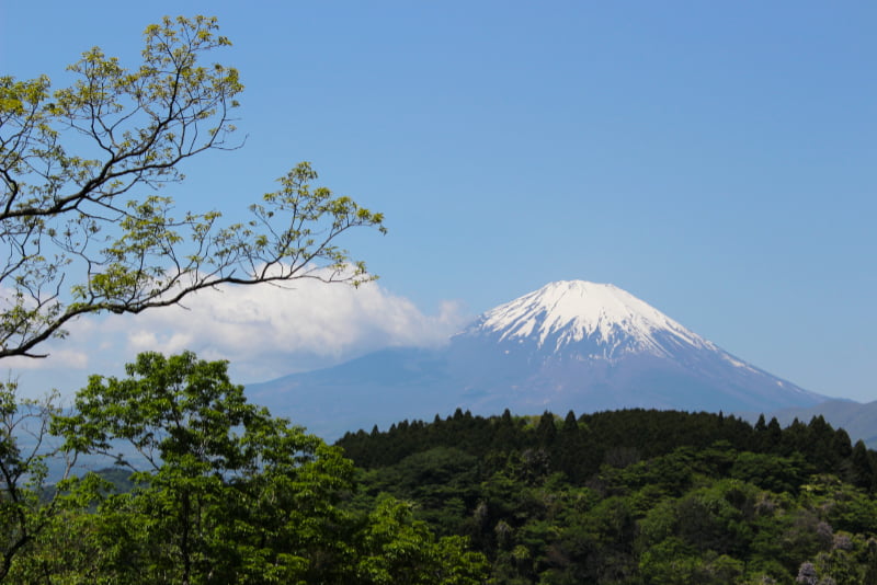 富士山