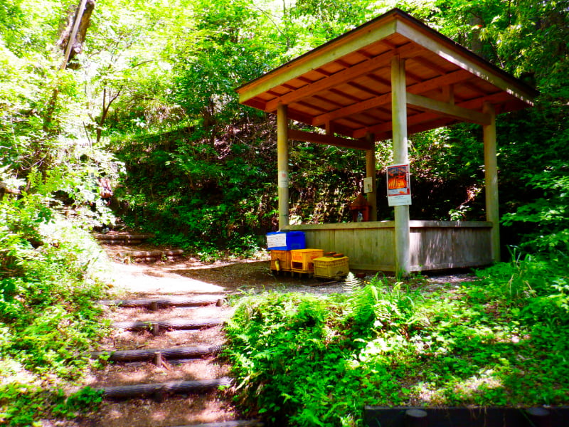 大野山ハイキングコース・東屋