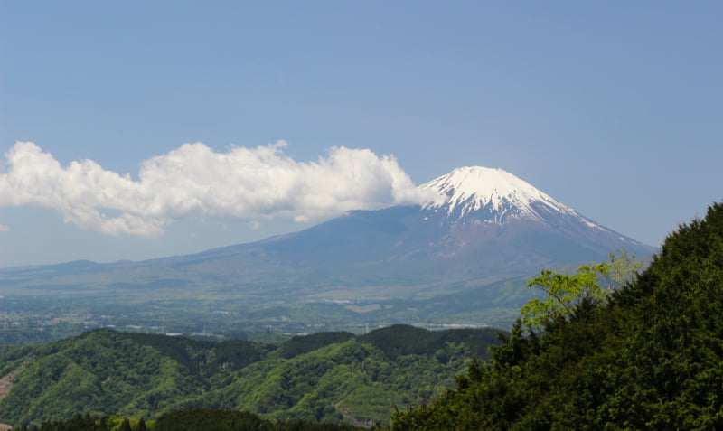 大野山ハイキングコース