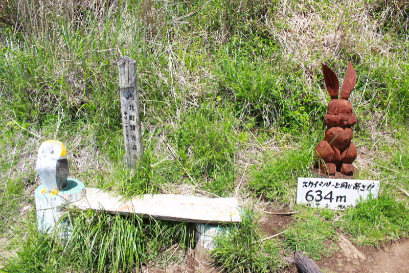 大野山ハイキングコース