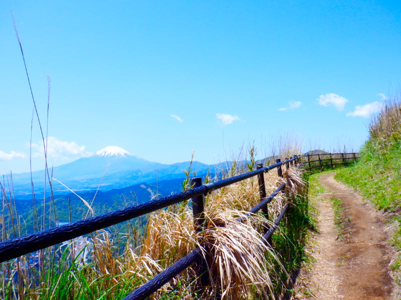 大野山ハイキングコース