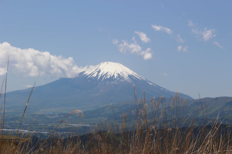 大野山ハイキングコース・富士山の絶景ポイント