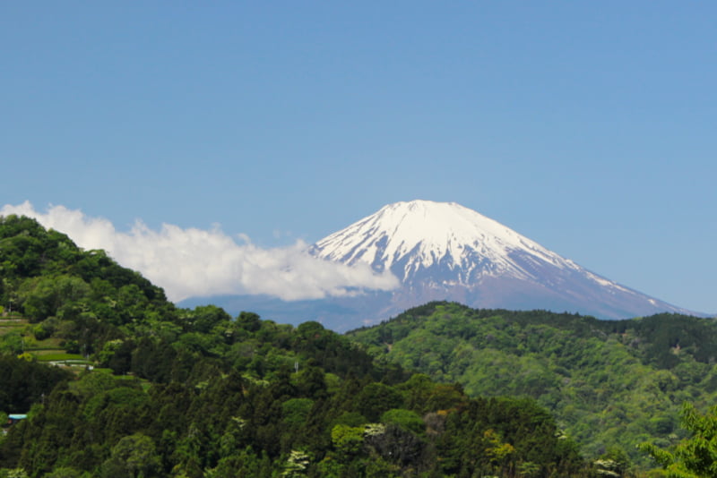 富士山