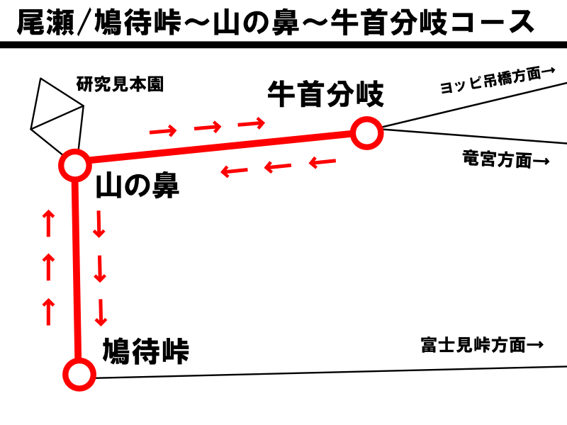 尾瀬・鳩待峠～山の鼻～牛首分岐コース