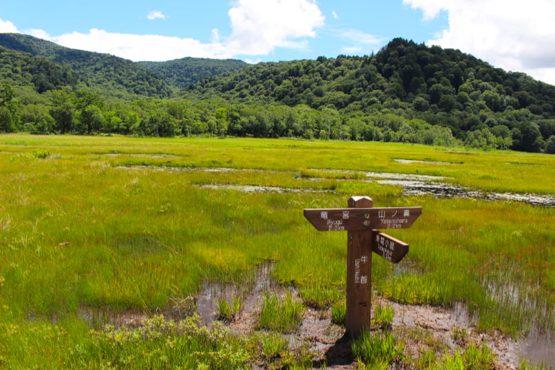 尾瀬・牛首分岐