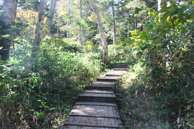 沼山峠ハイキングコース