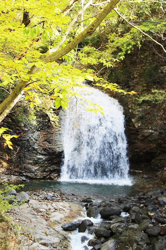 龍王峡　竪琴の滝