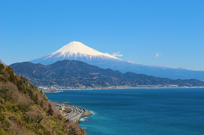 さった峠遊歩道にて。