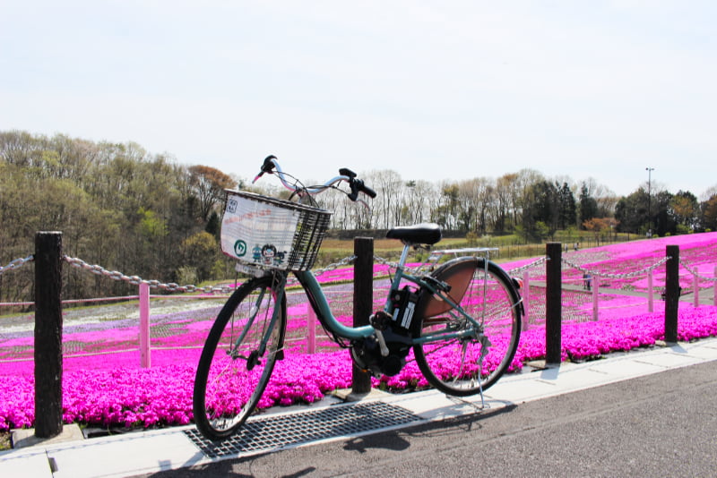 レンタルサイクル（電動アシスト付き自転車）