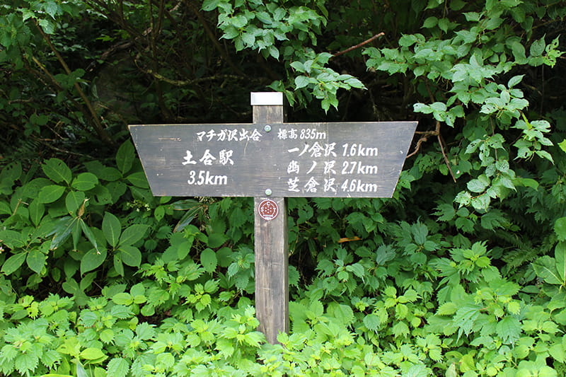 谷川岳の旧道沿いにある道しるべの看板