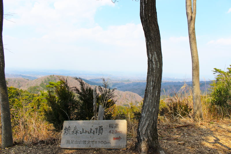 焼森山山頂