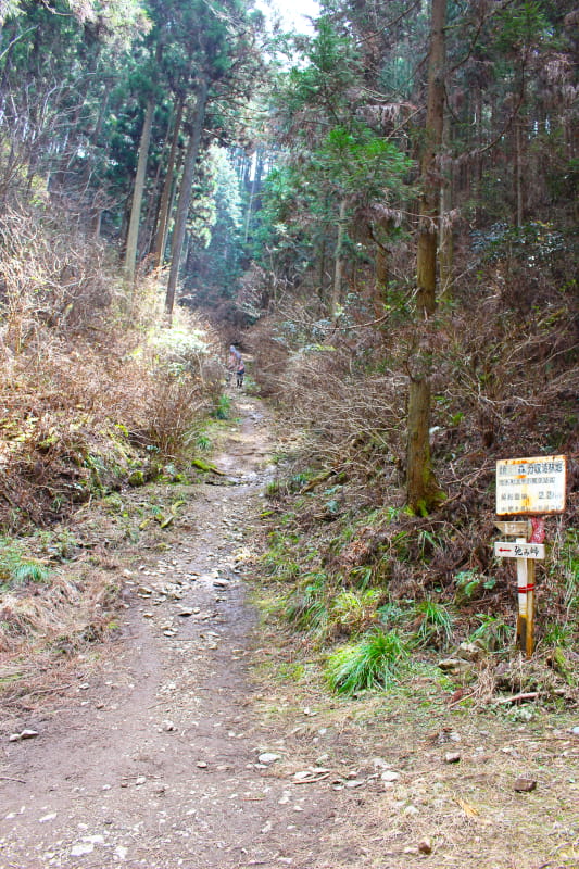 登山道