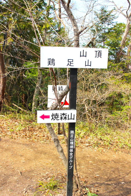 鶏足山山頂