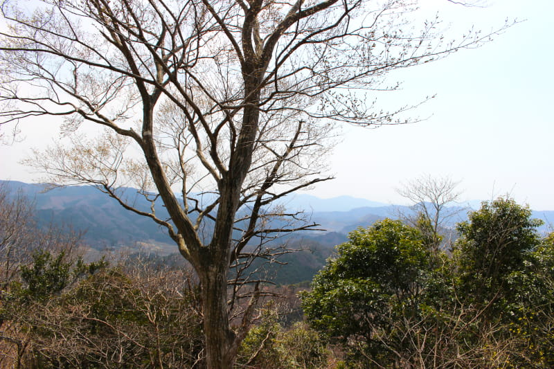 鶏足山山頂からの眺望