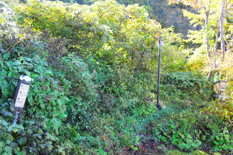 湯沢高原・ハイキングコース「一楠場コース」