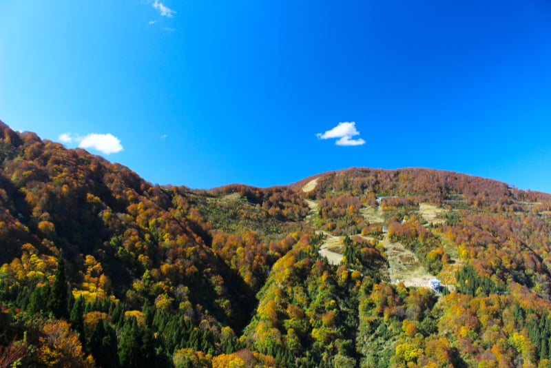 紅葉する山々の景色を見ながら「湿性花園・あやめ池」へ