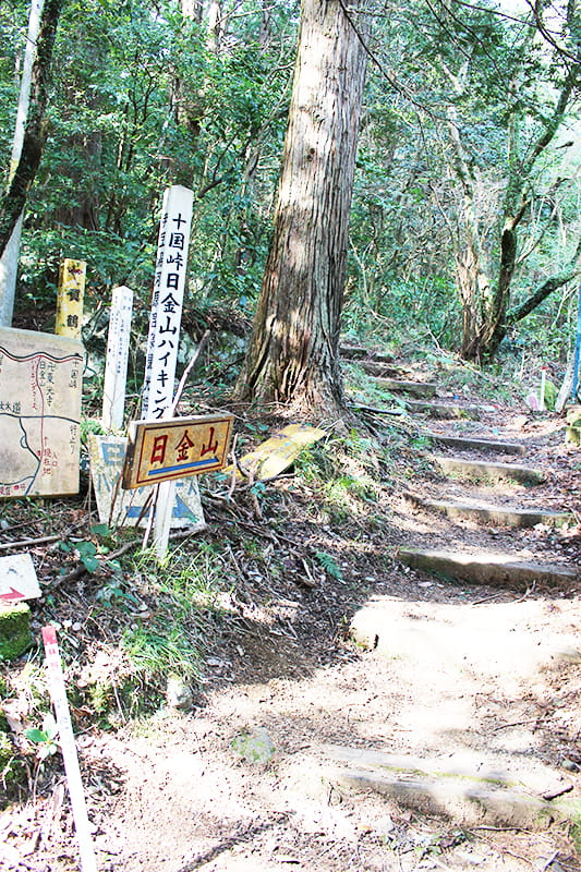 十国峠日金山ハイキングコース登山口